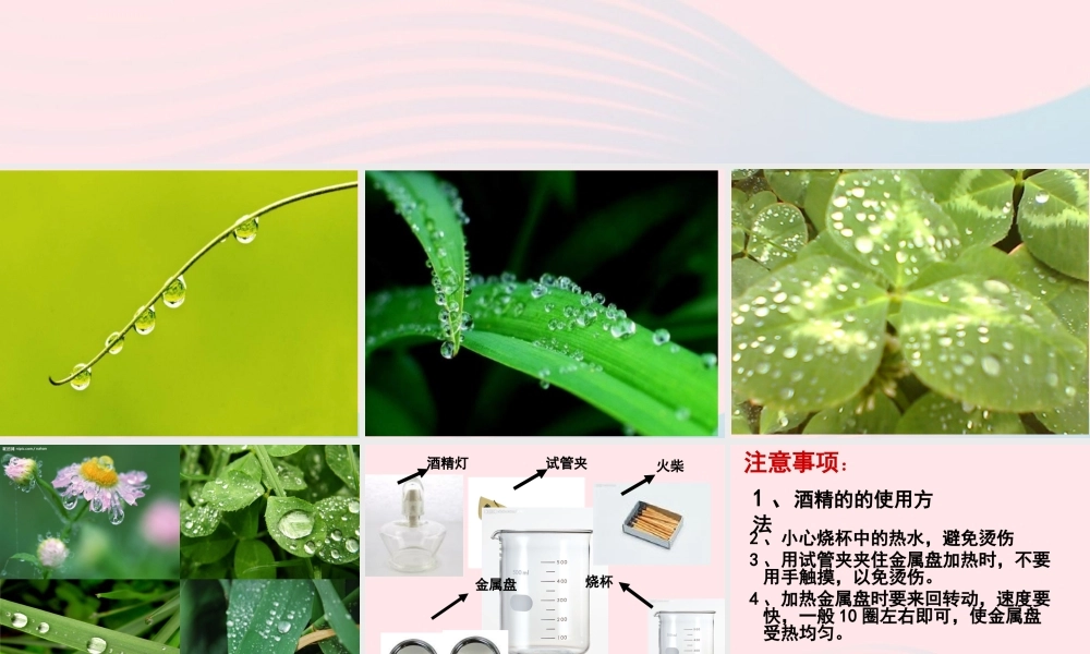 四年级科学上册 第四单元 水循环 第15课《凝结》课件（2） 青岛版五四制-青岛版小学四年级上册自然科学课件