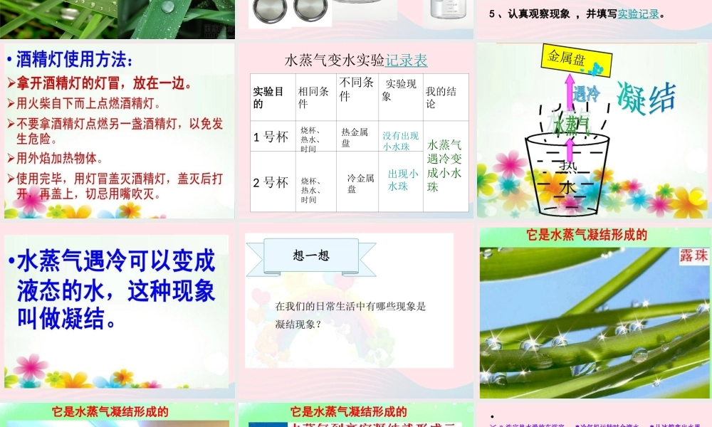 四年级科学上册 第四单元 水循环 第15课《凝结》课件（2） 青岛版五四制-青岛版小学四年级上册自然科学课件