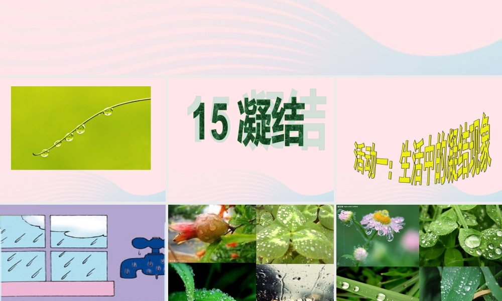 四年级科学上册 第四单元 水循环 第15课《凝结》课件（3） 青岛版五四制-青岛版小学四年级上册自然科学课件