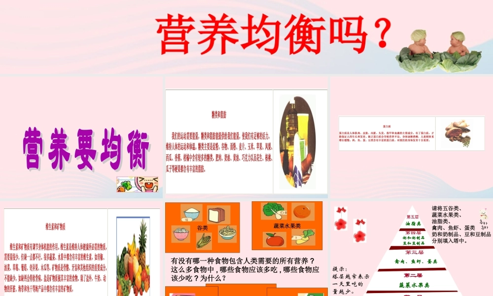 四年级科学下册 3 食物 3 营养要均衡课件5 教科版-教科版小学四年级下册自然科学课件