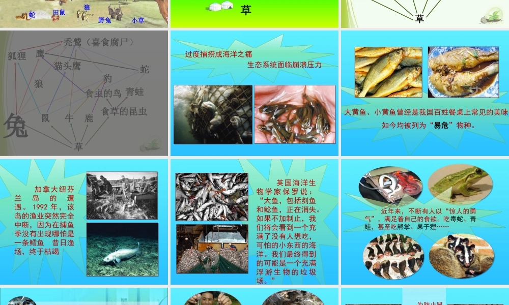 四年级科学下册 第四单元 生物与环境 第18课《密切联系的生物界》课件1 青岛版五四制-青岛版小学四年级下册自然科学课件