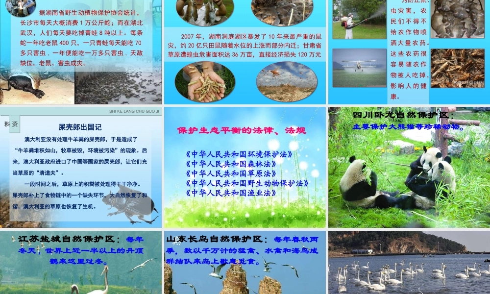 四年级科学下册 第四单元 生物与环境 第18课《密切联系的生物界》课件1 青岛版五四制-青岛版小学四年级下册自然科学课件