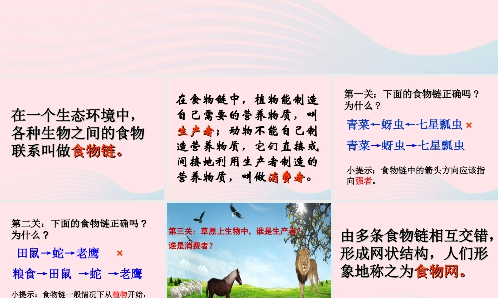 四年级科学下册 第四单元 生物与环境 第18课《密切联系的生物界》课件2 青岛版五四制-青岛版小学四年级下册自然科学课件