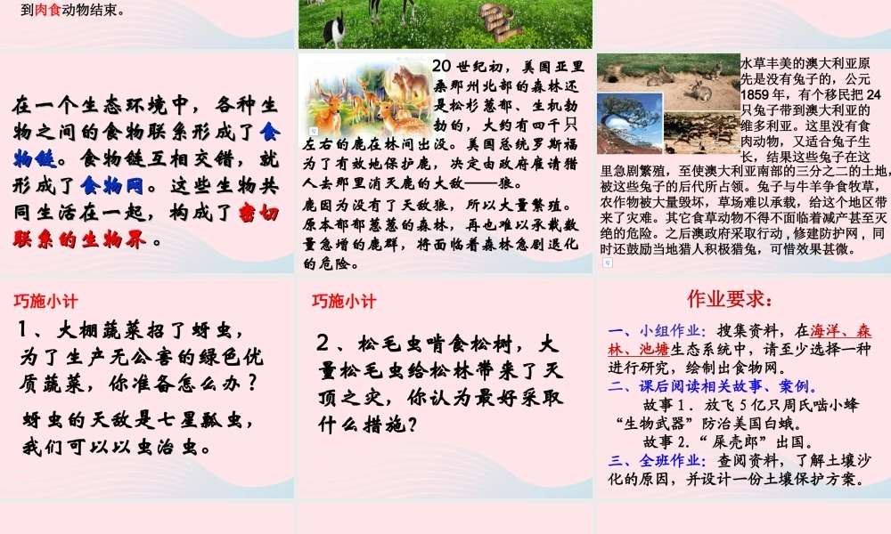 四年级科学下册 第四单元 生物与环境 第18课《密切联系的生物界》课件2 青岛版五四制-青岛版小学四年级下册自然科学课件