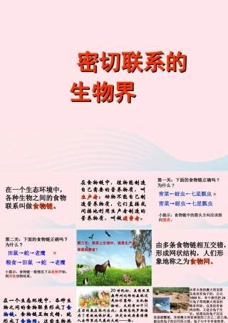 四年级科学下册 第四单元 生物与环境 第18课《密切联系的生物界》课件2 青岛版五四制-青岛版小学四年级下册自然科学课件