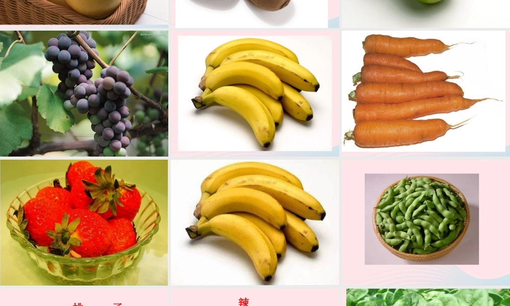 四年级科学下册 3 食物 4 生的食物和熟的食物课件 教科版-教科版小学四年级下册自然科学课件