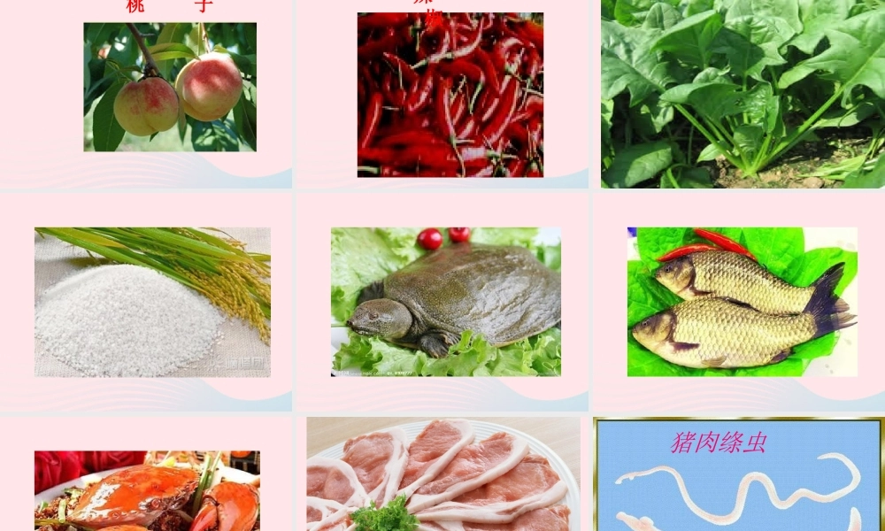 四年级科学下册 3 食物 4 生的食物和熟的食物课件 教科版-教科版小学四年级下册自然科学课件