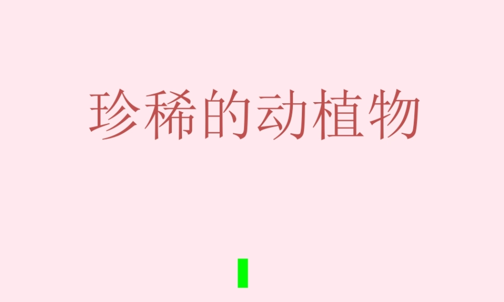 四年级科学下册 第四单元 生物与环境 第19课《珍稀动植物》课件1 青岛版五四制-青岛版小学四年级下册自然科学课件