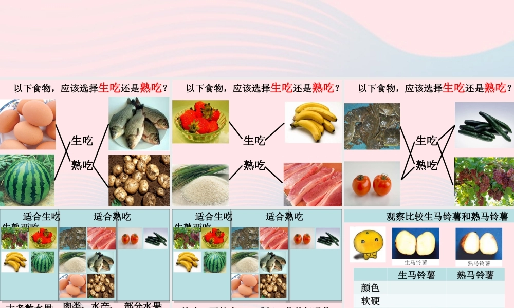 四年级科学下册 3 食物 4 生的食物和熟的食物课件1 教科版-教科版小学四年级下册自然科学课件