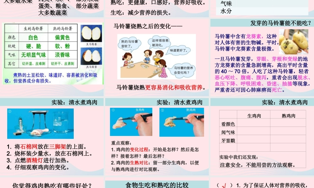 四年级科学下册 3 食物 4 生的食物和熟的食物课件1 教科版-教科版小学四年级下册自然科学课件