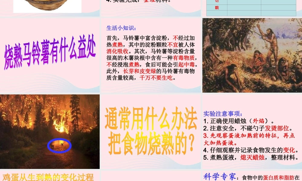 四年级科学下册 3 食物 4 生的食物和熟的食物课件2 教科版-教科版小学四年级下册自然科学课件