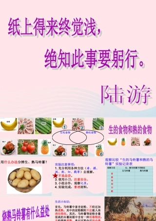 四年级科学下册 3 食物 4 生的食物和熟的食物课件2 教科版-教科版小学四年级下册自然科学课件