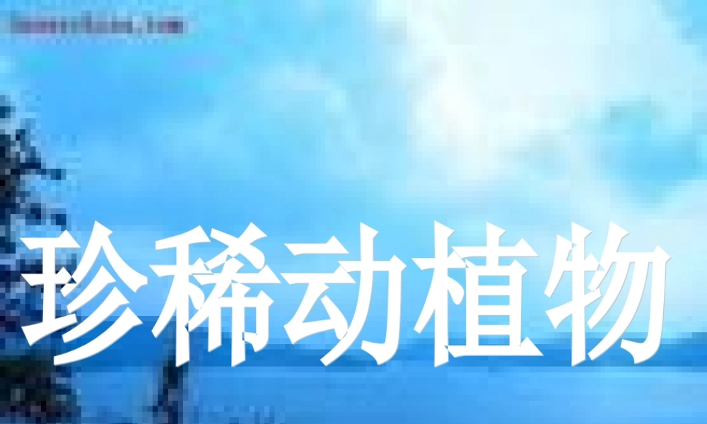 四年级科学下册 第四单元 生物与环境 第19课《珍稀动植物》课件2 青岛版五四制-青岛版小学四年级下册自然科学课件