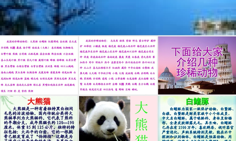 四年级科学下册 第四单元 生物与环境 第19课《珍稀动植物》课件2 青岛版五四制-青岛版小学四年级下册自然科学课件