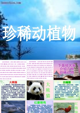 四年级科学下册 第四单元 生物与环境 第19课《珍稀动植物》课件2 青岛版五四制-青岛版小学四年级下册自然科学课件