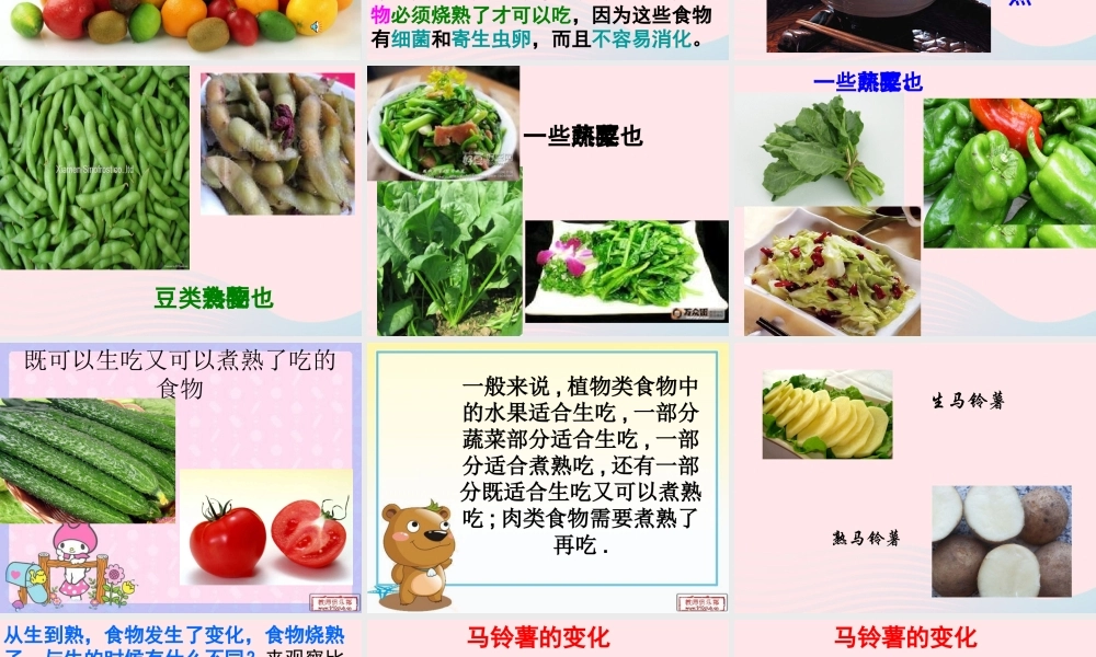 四年级科学下册 3 食物 4 生的食物和熟的食物课件3 教科版-教科版小学四年级下册自然科学课件