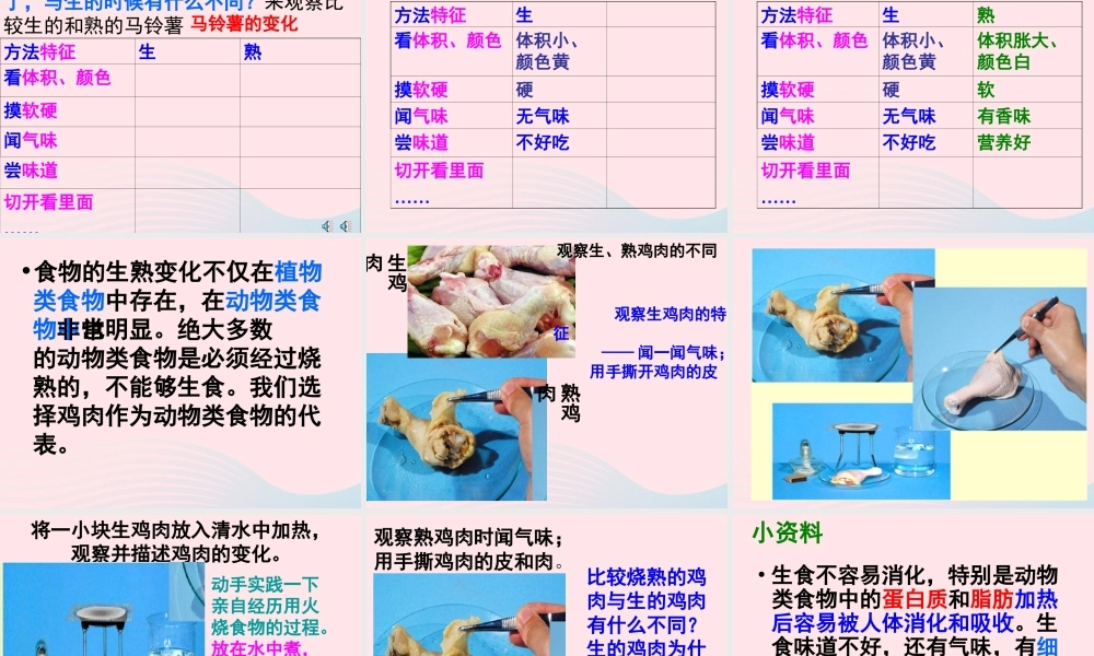 四年级科学下册 3 食物 4 生的食物和熟的食物课件3 教科版-教科版小学四年级下册自然科学课件