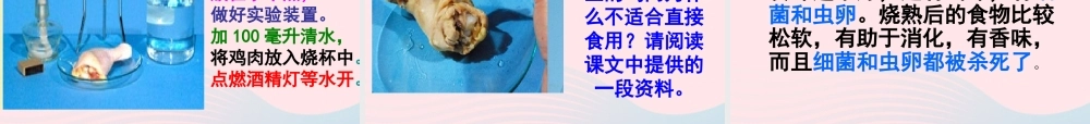 四年级科学下册 3 食物 4 生的食物和熟的食物课件3 教科版-教科版小学四年级下册自然科学课件
