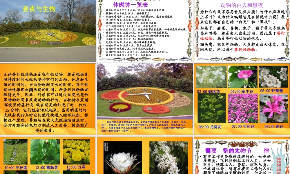 四年级科学下册 第四单元 生物与环境 第20课《白天与黑夜》课件1 青岛版五四制-青岛版小学四年级下册自然科学课件