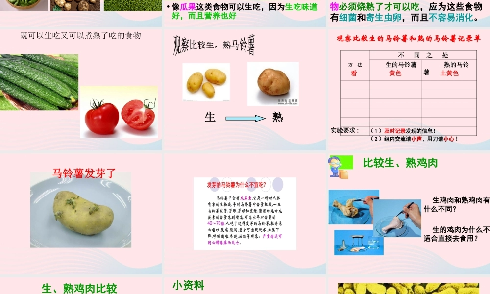 四年级科学下册 3 食物 4 生的食物和熟的食物课件5 教科版-教科版小学四年级下册自然科学课件