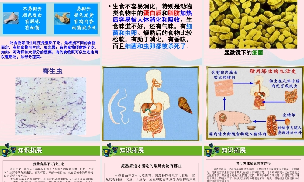 四年级科学下册 3 食物 4 生的食物和熟的食物课件5 教科版-教科版小学四年级下册自然科学课件