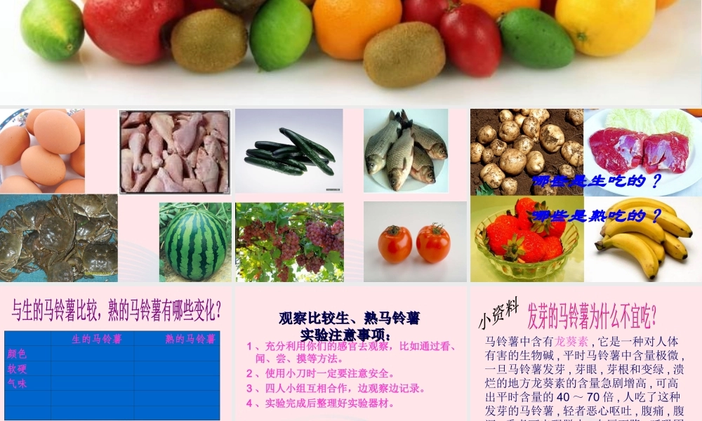 四年级科学下册 3 食物 4 生的食物和熟的食物课件6 教科版-教科版小学四年级下册自然科学课件