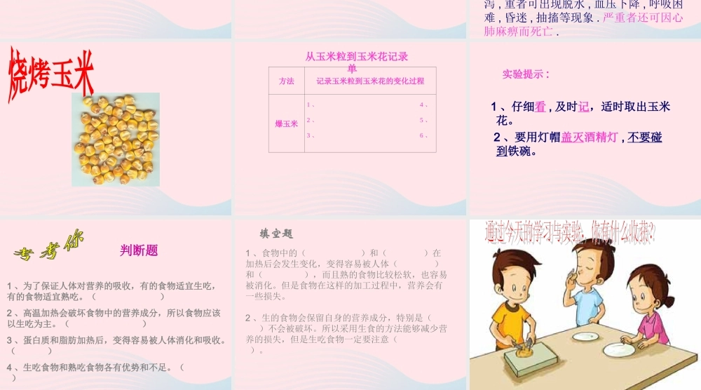 四年级科学下册 3 食物 4 生的食物和熟的食物课件6 教科版-教科版小学四年级下册自然科学课件