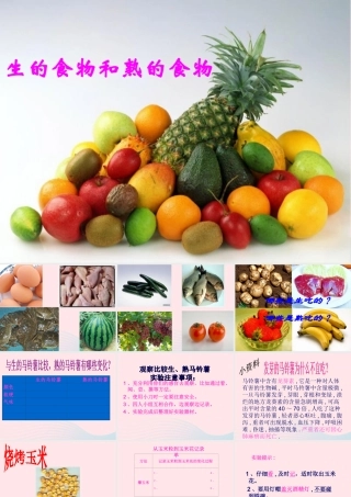 四年级科学下册 3 食物 4 生的食物和熟的食物课件6 教科版-教科版小学四年级下册自然科学课件