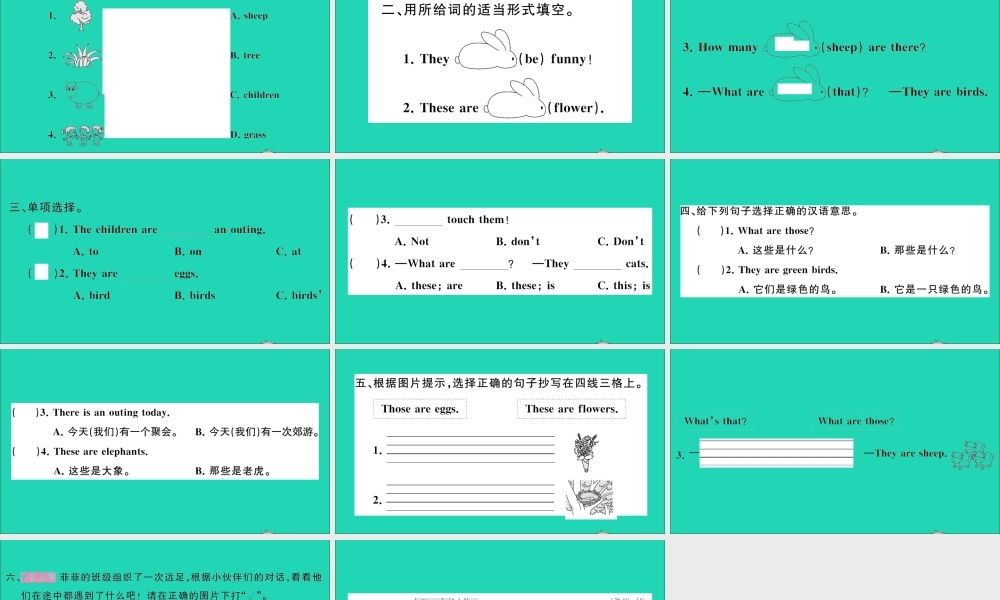 四年级英语上册 Unit 4 These are flowers第一课时作业课件 湘少版（三起）-湘少版小学四年级上册英语课件