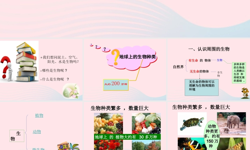 四年级科学下册 第四单元 生长与变化 第10课《周围的生物》课件1 冀教版-冀教版小学四年级下册自然科学课件