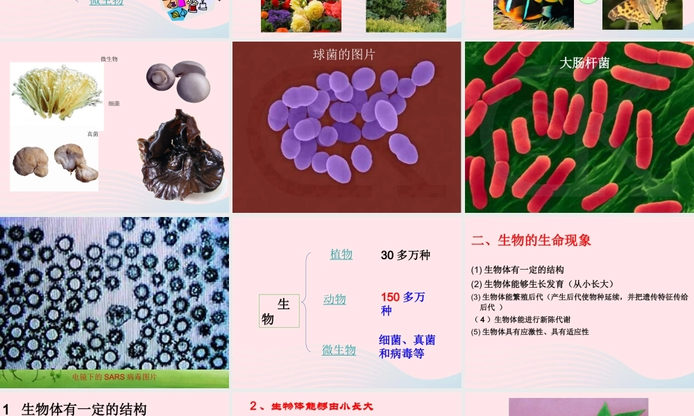 四年级科学下册 第四单元 生长与变化 第10课《周围的生物》课件1 冀教版-冀教版小学四年级下册自然科学课件