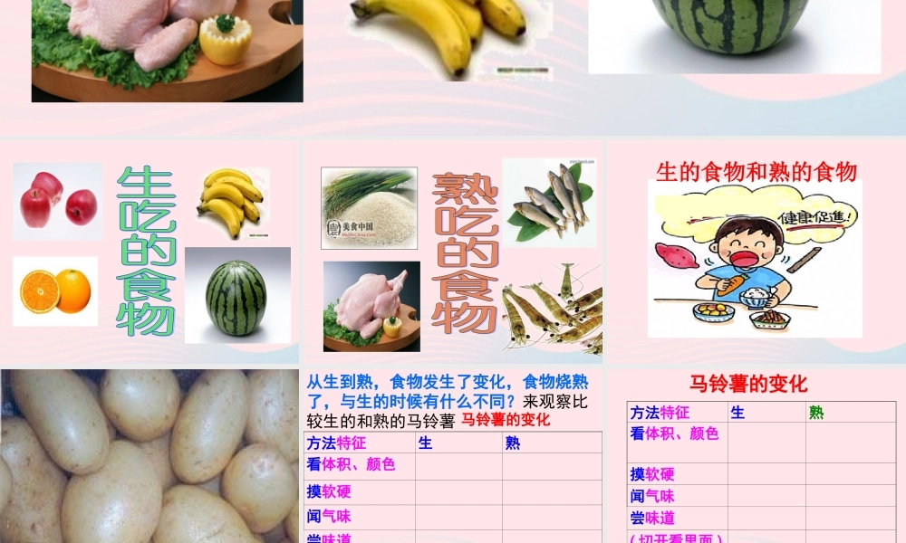四年级科学下册 3 食物 4《生的食物和熟的食物》课件 教科版-教科版小学四年级下册自然科学课件