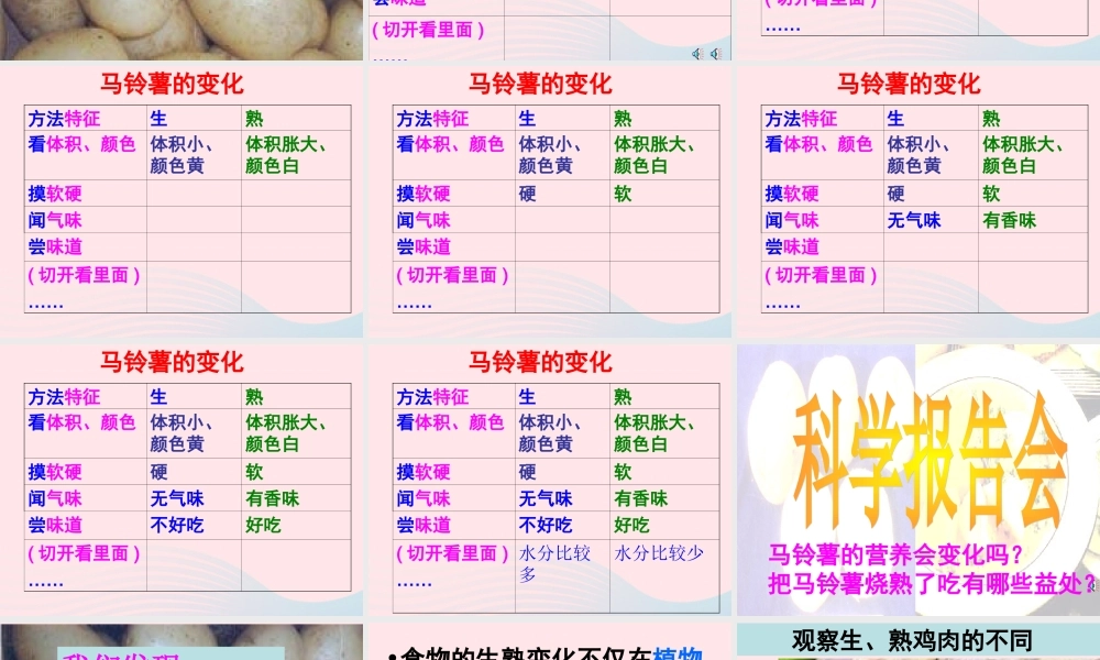 四年级科学下册 3 食物 4《生的食物和熟的食物》课件 教科版-教科版小学四年级下册自然科学课件