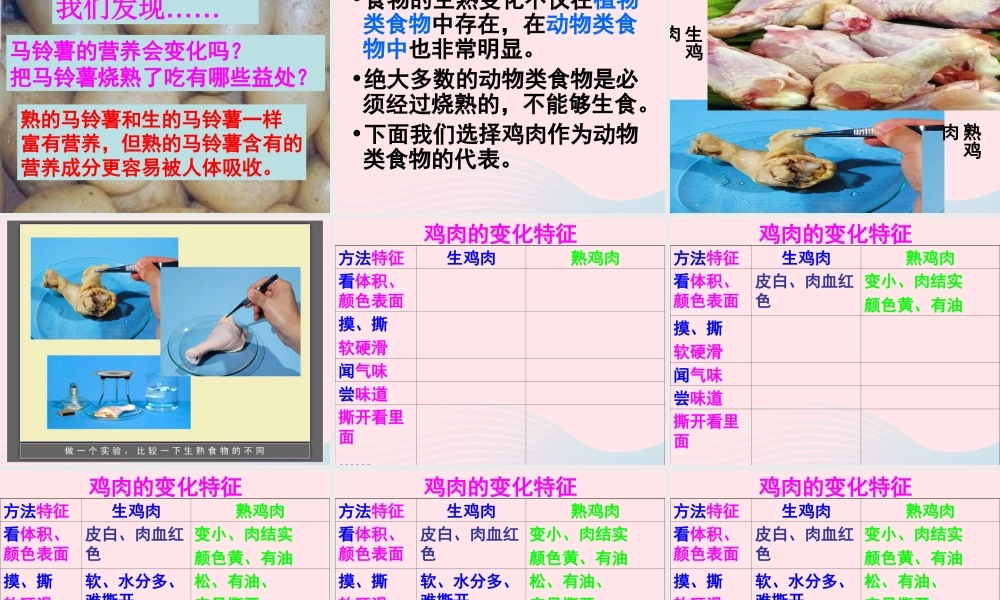 四年级科学下册 3 食物 4《生的食物和熟的食物》课件 教科版-教科版小学四年级下册自然科学课件