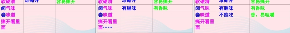 四年级科学下册 3 食物 4《生的食物和熟的食物》课件 教科版-教科版小学四年级下册自然科学课件