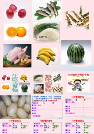 四年级科学下册 3 食物 4《生的食物和熟的食物》课件 教科版-教科版小学四年级下册自然科学课件