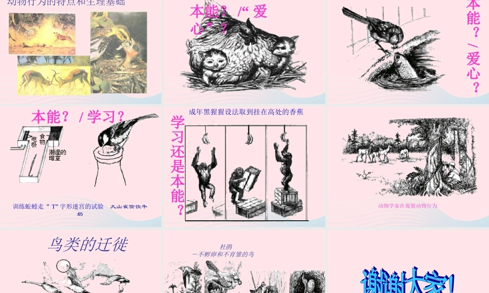 四年级科学下册 第四单元 生长与变化 第10课《周围的生物》课件2 冀教版-冀教版小学四年级下册自然科学课件