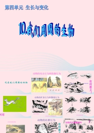 四年级科学下册 第四单元 生长与变化 第10课《周围的生物》课件2 冀教版-冀教版小学四年级下册自然科学课件