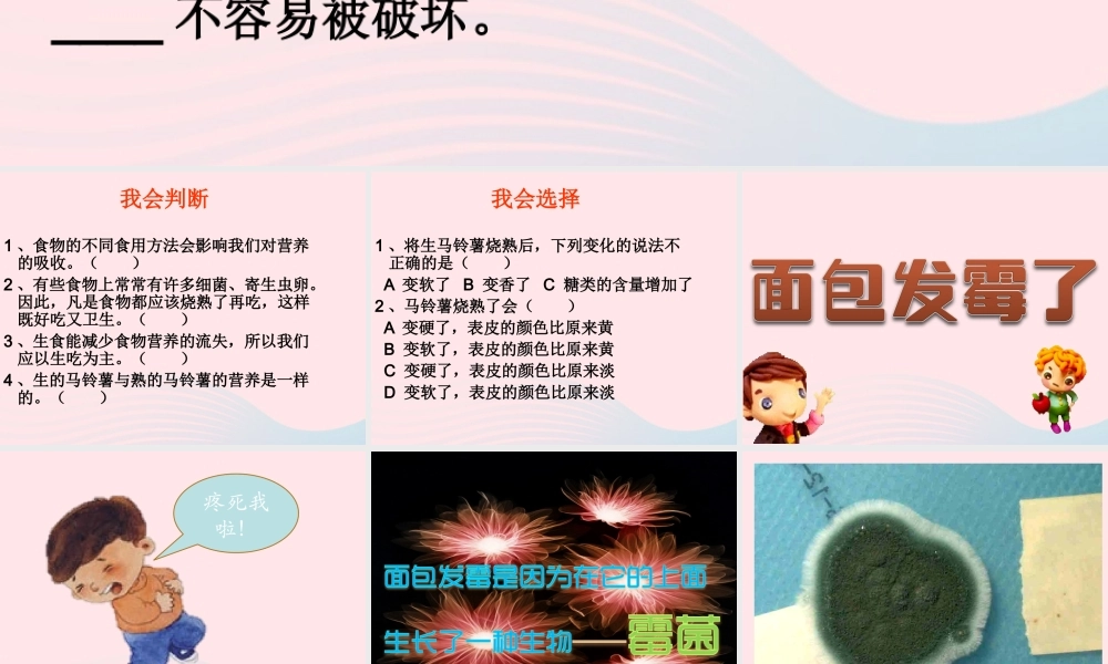 四年级科学下册 3 食物 5 面包发霉了课件 教科版-教科版小学四年级下册自然科学课件
