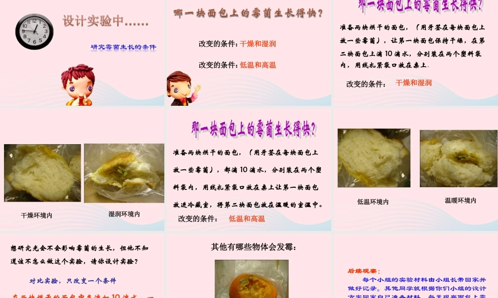 四年级科学下册 3 食物 5 面包发霉了课件 教科版-教科版小学四年级下册自然科学课件