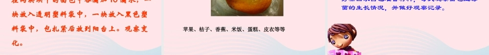 四年级科学下册 3 食物 5 面包发霉了课件 教科版-教科版小学四年级下册自然科学课件