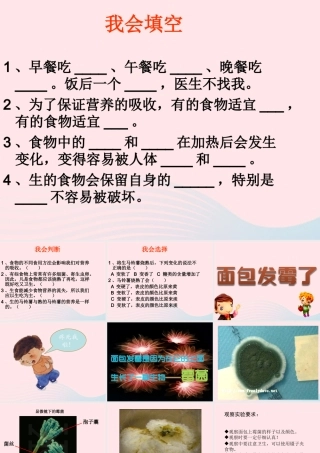 四年级科学下册 3 食物 5 面包发霉了课件 教科版-教科版小学四年级下册自然科学课件