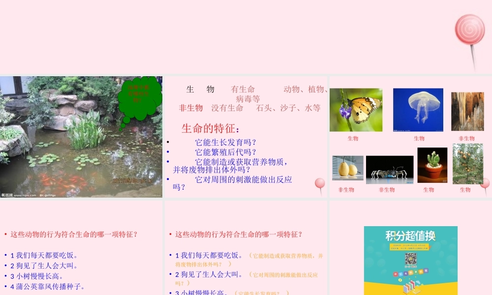 四年级科学下册 第四单元 生长与变化 第10课《周围的生物》课件3 冀教版-冀教版小学四年级下册自然科学课件