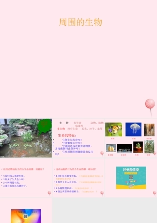 四年级科学下册 第四单元 生长与变化 第10课《周围的生物》课件3 冀教版-冀教版小学四年级下册自然科学课件