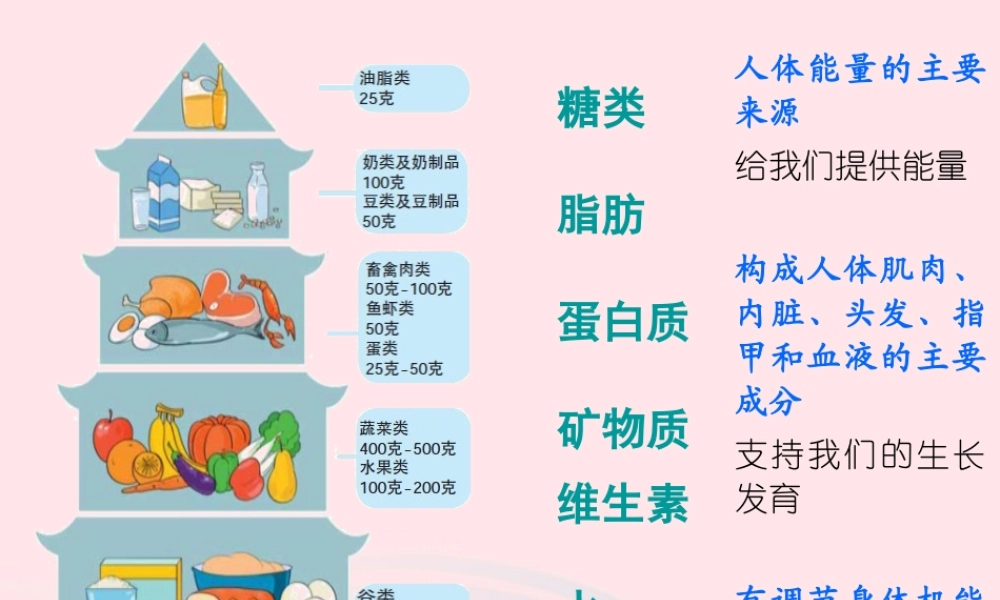 四年级科学下册 3 食物 5 面包发霉了课件1 教科版-教科版小学四年级下册自然科学课件