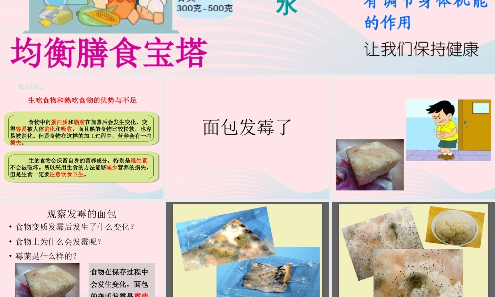 四年级科学下册 3 食物 5 面包发霉了课件1 教科版-教科版小学四年级下册自然科学课件