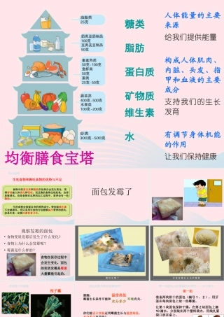四年级科学下册 3 食物 5 面包发霉了课件1 教科版-教科版小学四年级下册自然科学课件