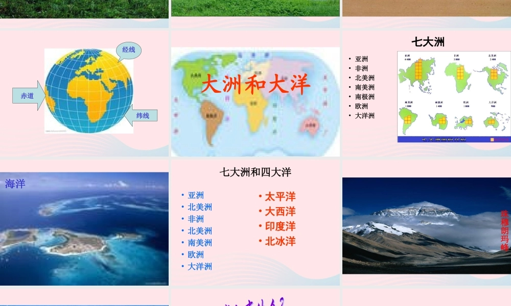 四年级科学上册 第五单元 我们的家园——地球 第19课《地球上有什么》课件（1） 青岛版五四制-青岛版小学四年级上册自然科学课件