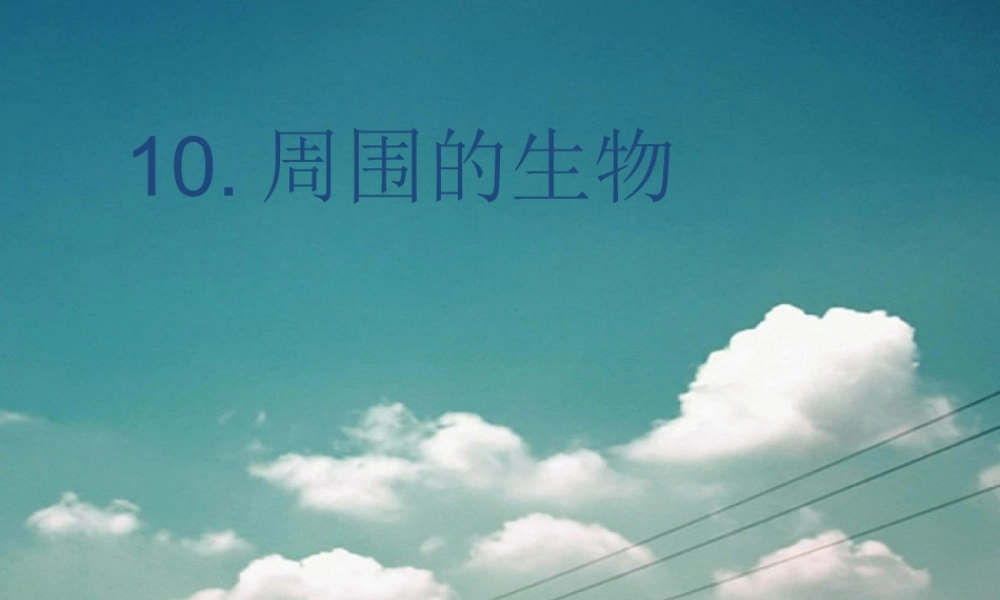 四年级科学下册 第四单元 生长与变化 第10课《周围的生物》课件4 冀教版-冀教版小学四年级下册自然科学课件