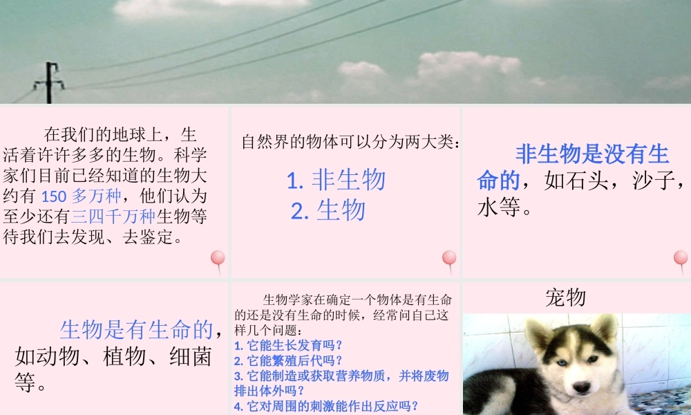 四年级科学下册 第四单元 生长与变化 第10课《周围的生物》课件4 冀教版-冀教版小学四年级下册自然科学课件